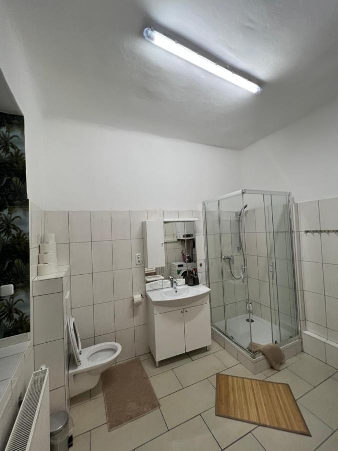 Spacious & Deluxe Big Apartment Near Prater Vienne Extérieur photo
